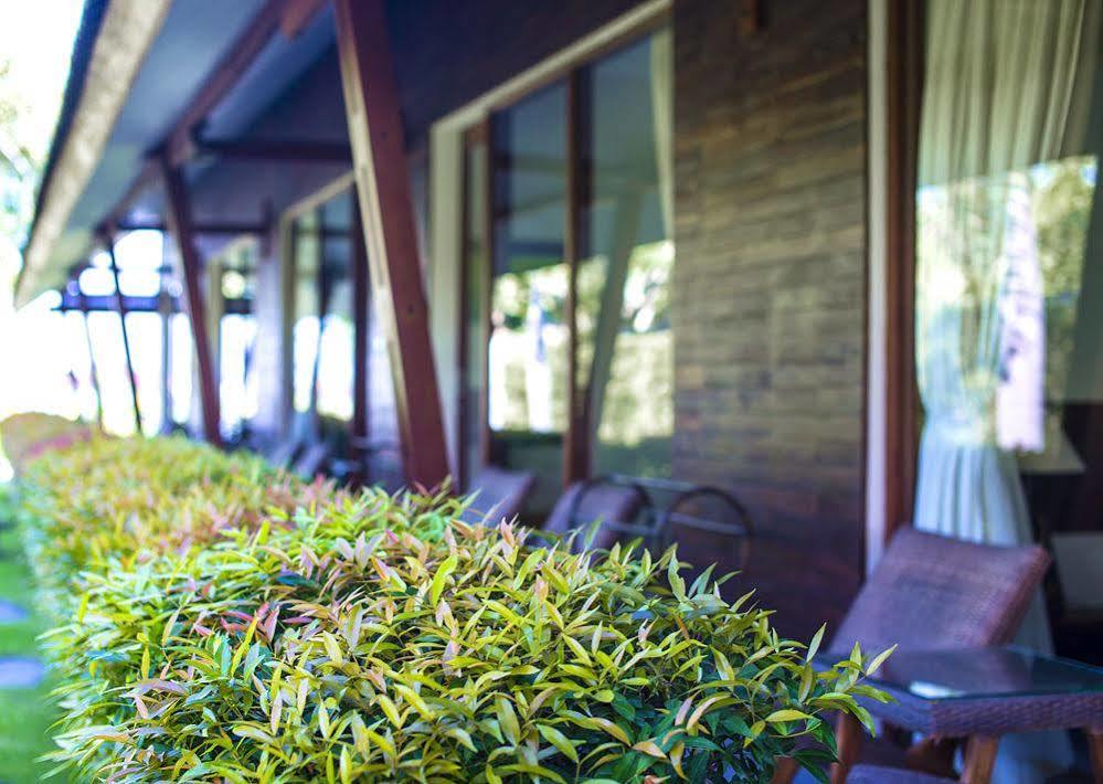 Big Brother Surf Inn Canggu  Luaran gambar