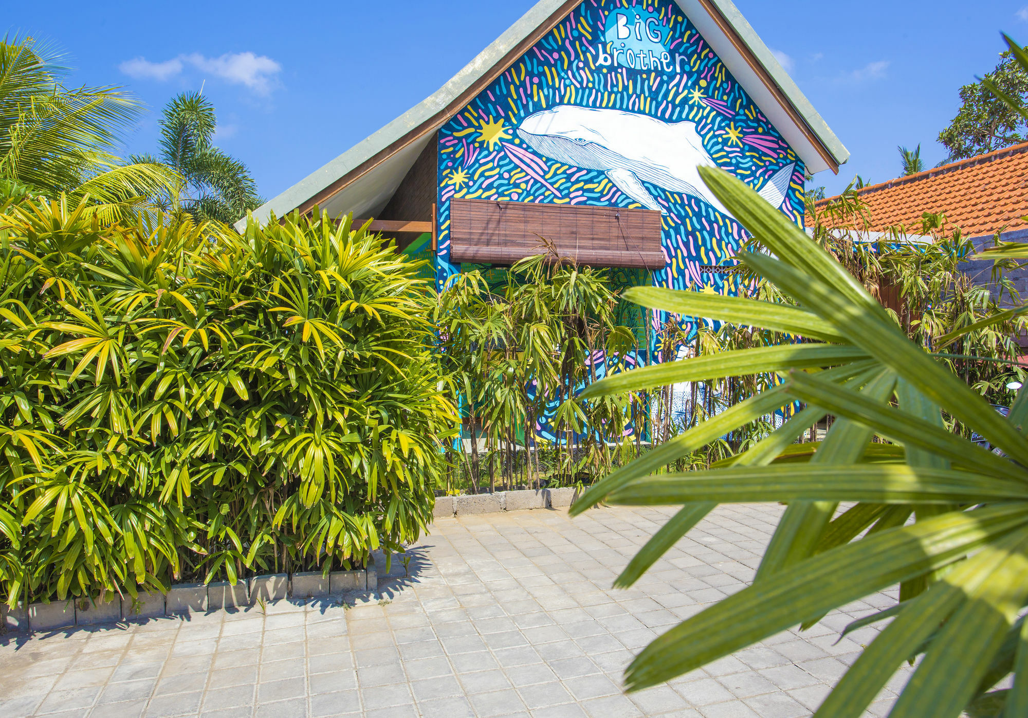Big Brother Surf Inn Canggu  Luaran gambar